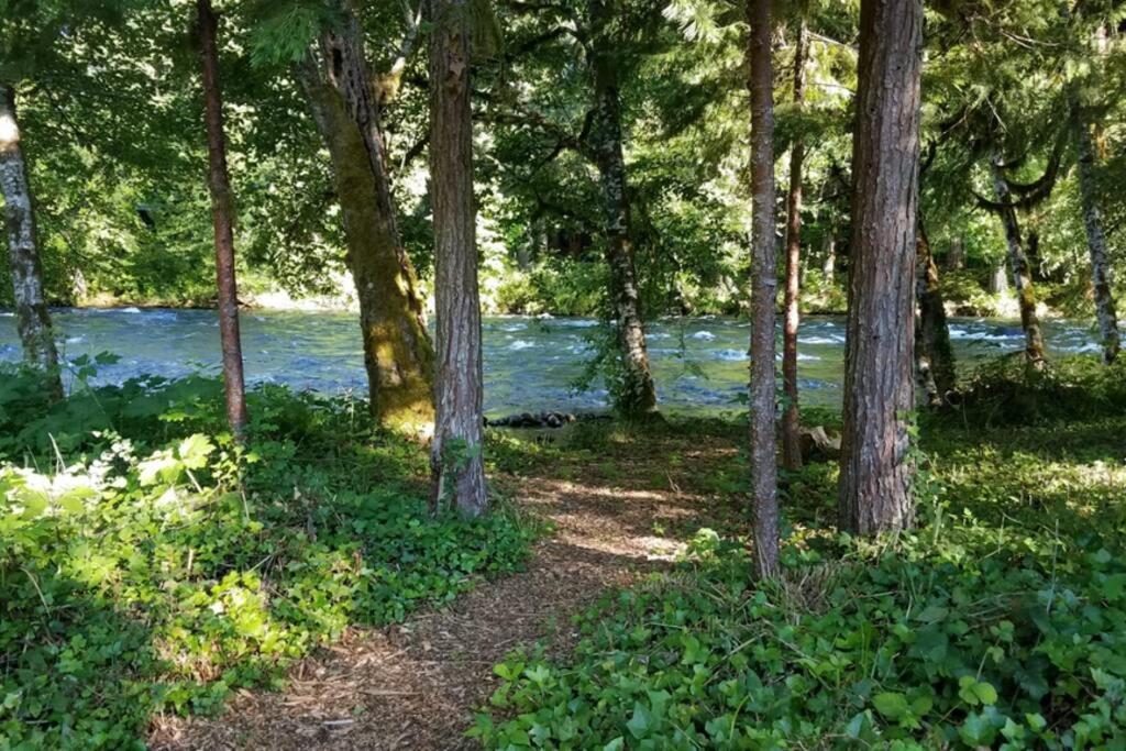 On The River Wooded Bliss Cabin Near Loloma McKenzie Bridge Exterior photo