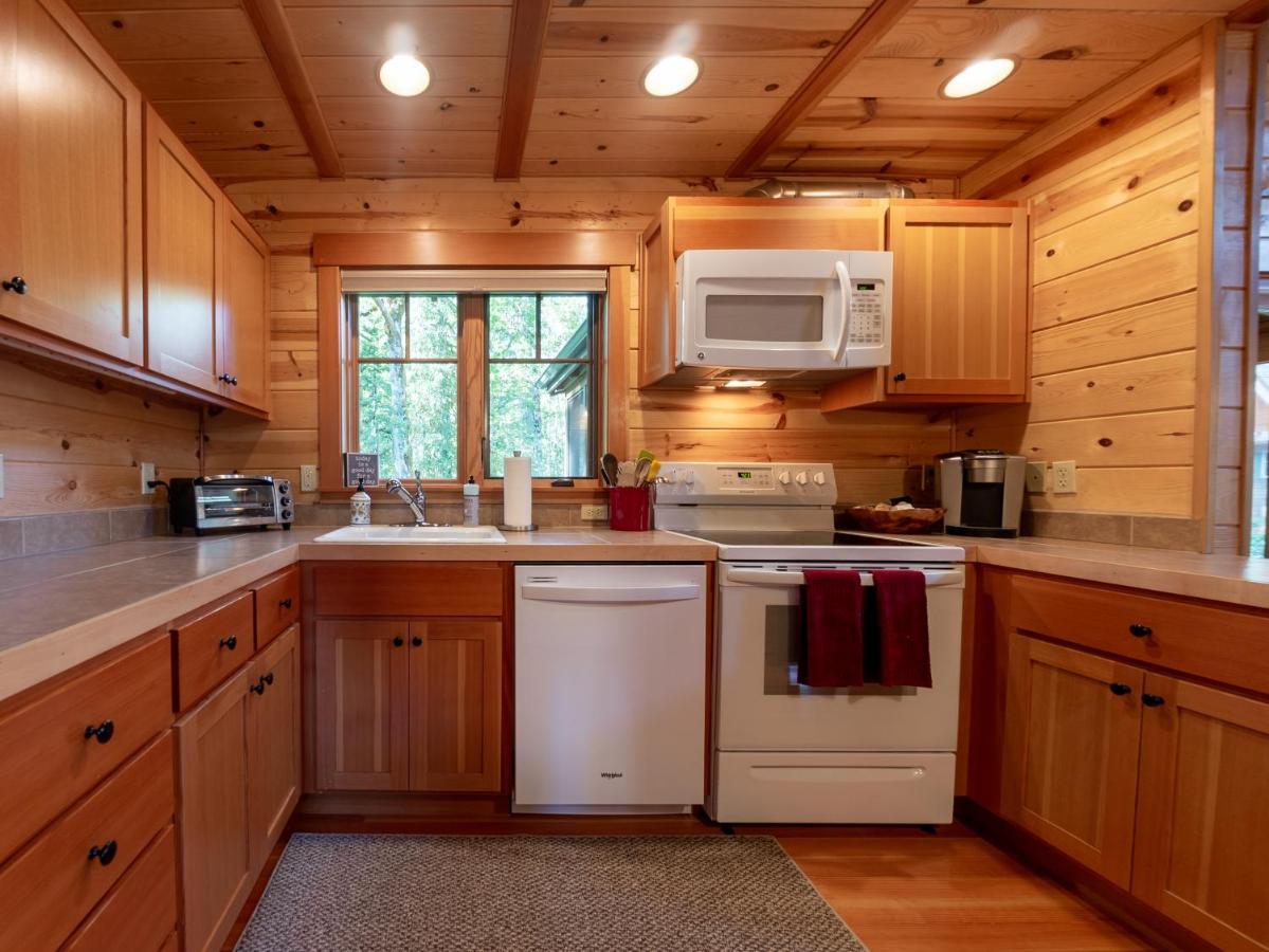 On The River Wooded Bliss Cabin Near Loloma McKenzie Bridge Exterior photo